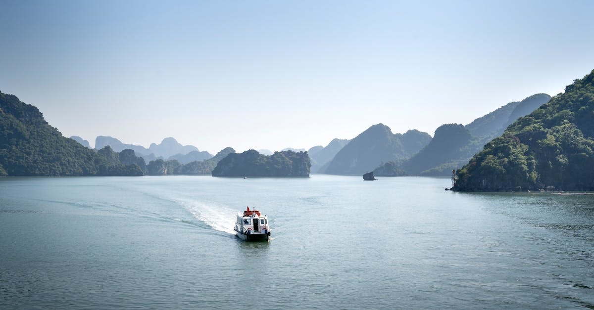 White Ferry on the Lake