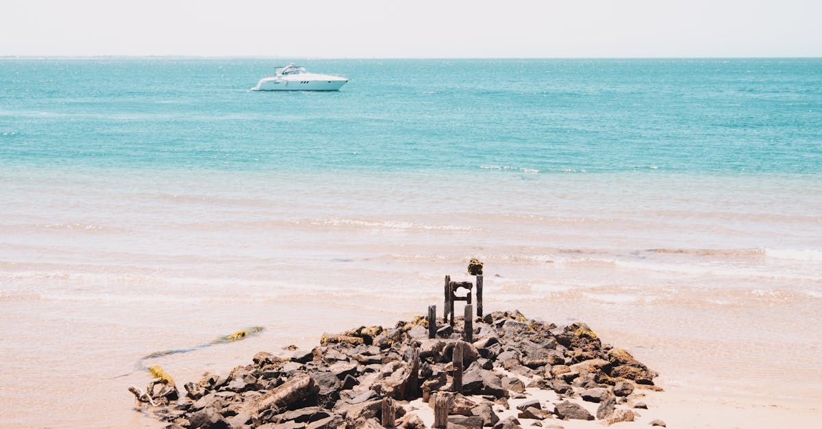Person Standing on Brown Sand Near Body of Water