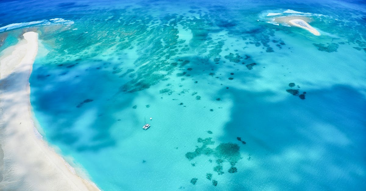 Aerial View of a Tropical Island
