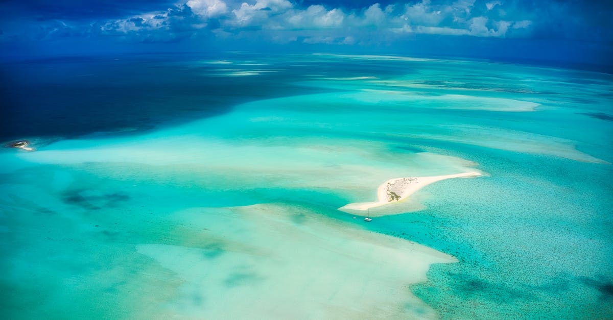 Aerial View of a Tropical Island