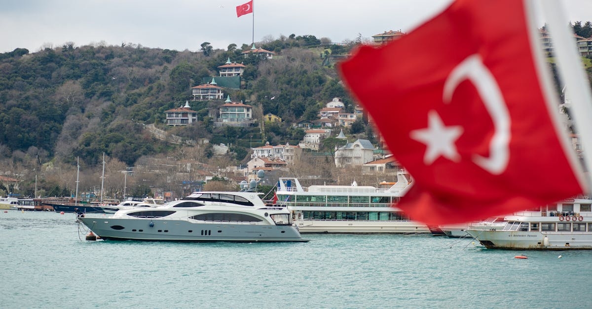 Modern yachts and excursion boats floating on rippling river near residential houses built on hill slope on cloudy day in Istanbul
