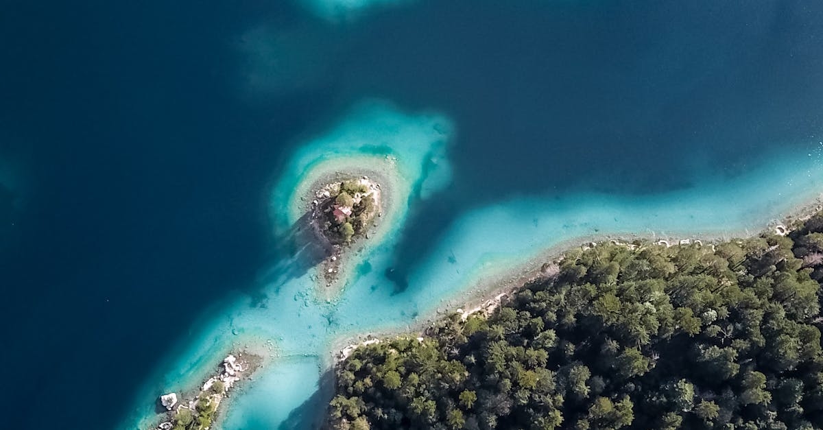 Bird's-eye View of Green Islands