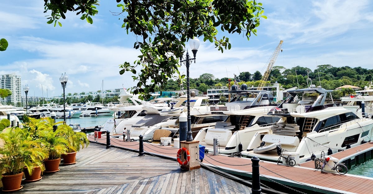 Yachts Moored in Marina