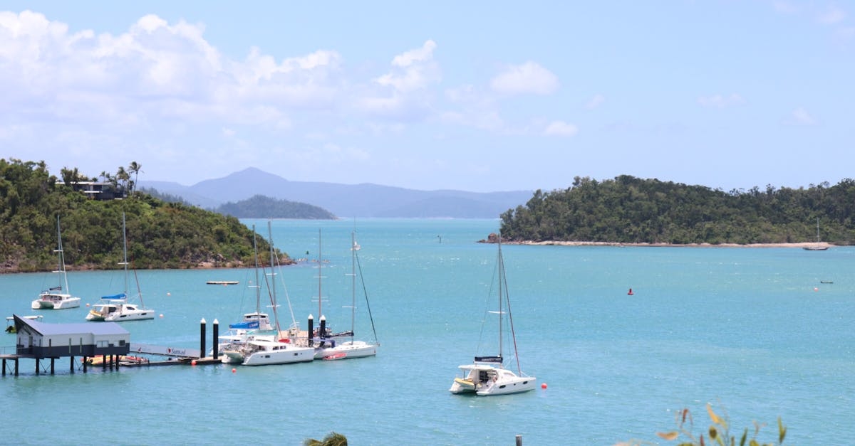 Sailboats in Bay