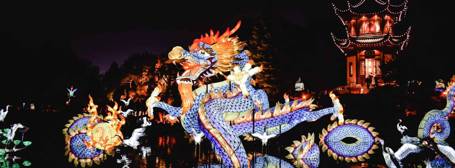 ni hao kai lan dragon boat festival
