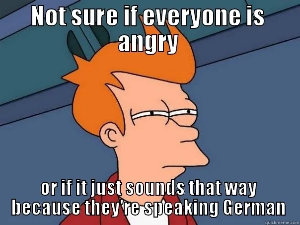 German language meme