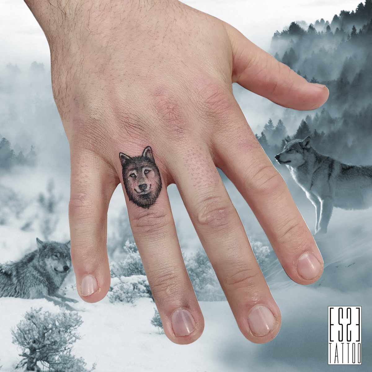 Wolf