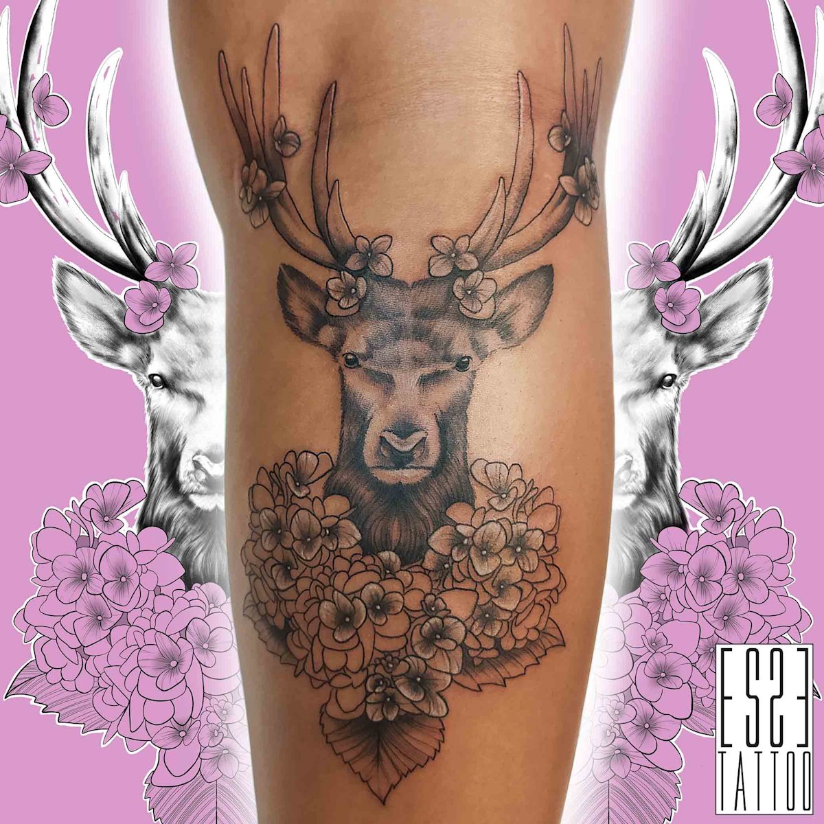 Deer and Ortensia - Deer and Ortensia
