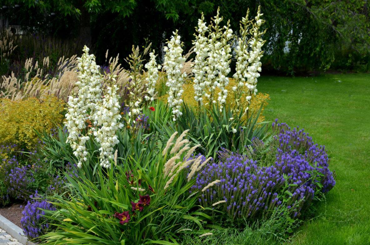 Ein natürlich gestaltetes Blumenmeer im Garten.