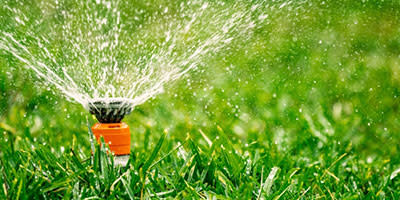 Genug Wasser für den Rasen bringt Kindern Spaß und stärkt den Rasen gegen Unkraut.
