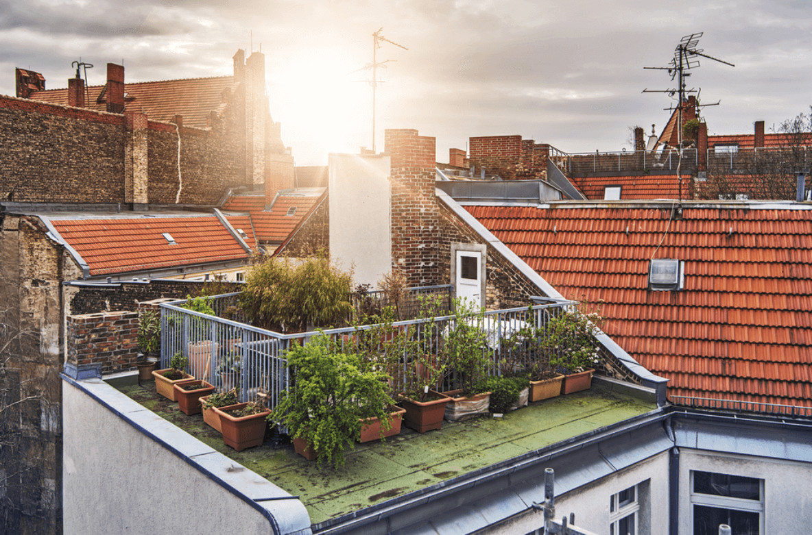 Mit einem grünen Daumen und etwas Übung kann auch mitten in der Stadt eine kleine grüne Oase entstehen.