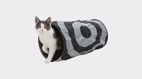 Katzenspielzeug online kaufen - shöpping.at