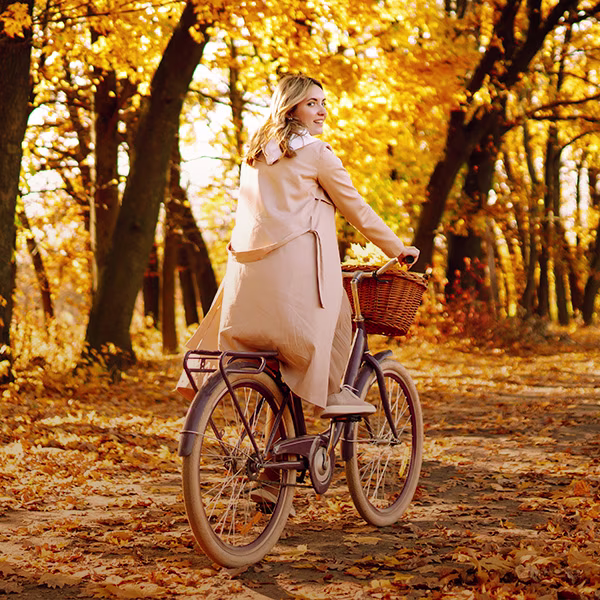 Fahrräder online kaufen - shöpping.at