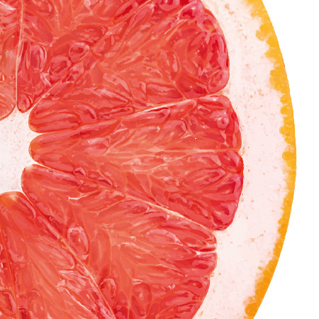 Gasteiner Grapefruit online bestellen - shöpping.at