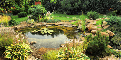 Ein Gartenteich sorgt in jedem Garten für entspannende Idylle und Natürlichkeit.