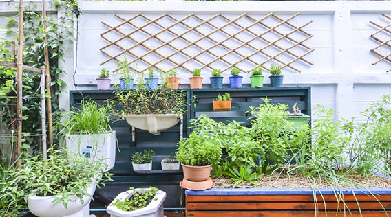 Kleiner Garten am Balkon.