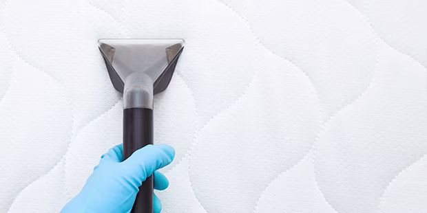 Reinigungsgeräte online kaufen - shöpping.at