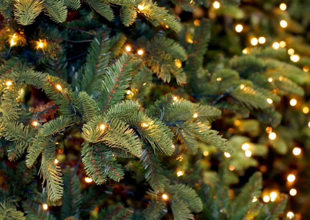 Die passende Lichterkette bringt den Christbaum erst so richtig zum Erstrahlen.