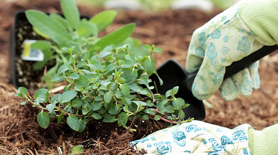 Mulchen im Garten