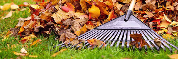 Rasenpflege im Herbst - shöpping.at