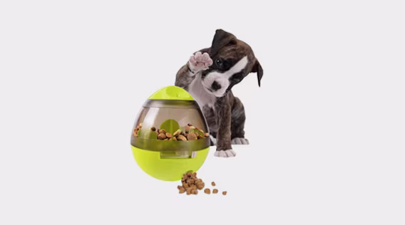 Hundespielzeug online kaufen - shöpping.at