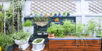 Mit etwas Kreativität lassen sich viele Dinge für das Urban Gardening nutzen.