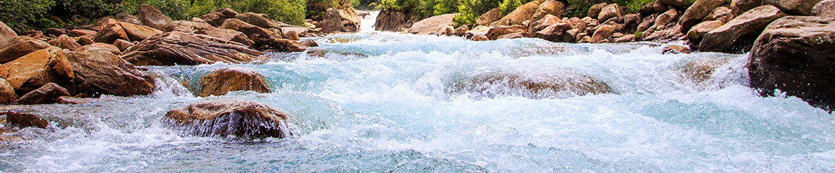 Sprudelndes Bergwasser aus den Hohen Trauern - Gasteiner bei shöpping.at