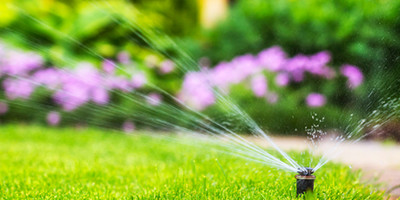 Selbsttätige Sprinkleranlagen erleichtern Ihnen die Gartenbewässerung.