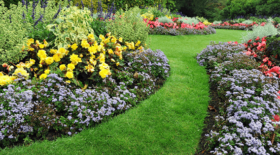 Blumenbeet mit Rasenstreifen anlegen