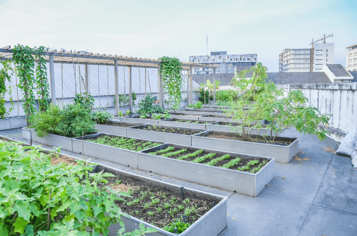 Wenn es der Platz zulässt, kann man Urban Gardening auch im großen Stil aufziehen.