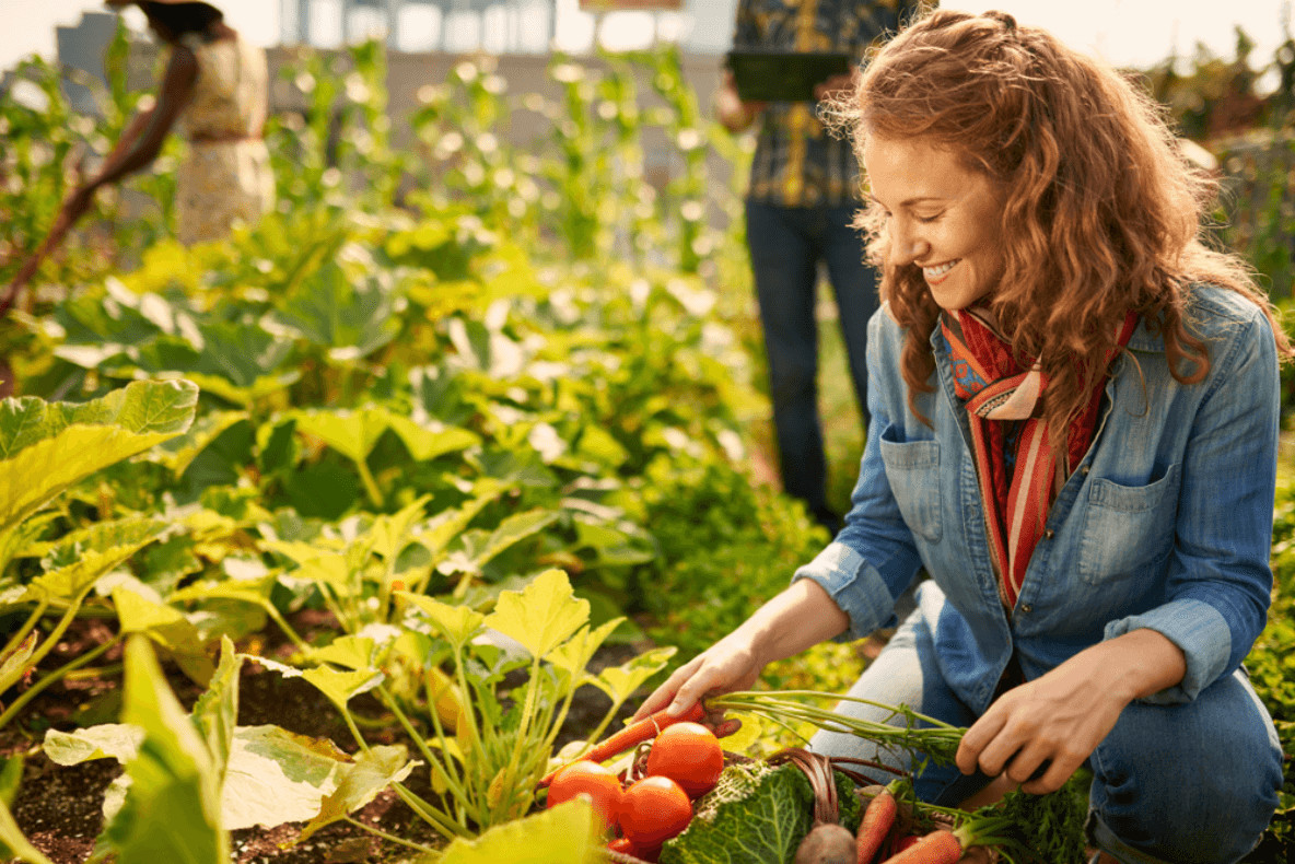 Beim Urban Gardening kann man sich selbst mit köstlichem Obst und Gemüse für die Mühen belohnen.