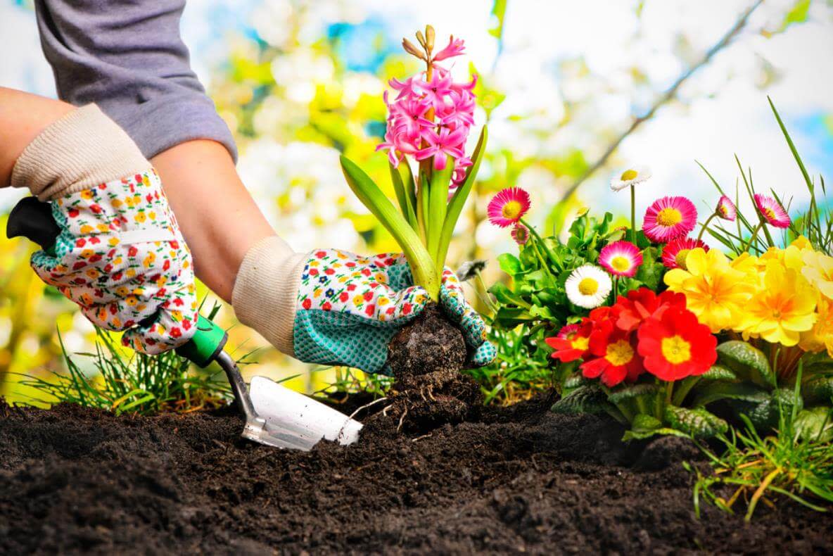 Ein Blumenbeet im Garten legen Sie am besten im Frühjahr an. Alternativ kann auch der Herbst gewählt werden.