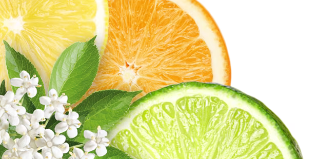 Gasteiner Holunder-Limette, Orange, Zitrone, einzeln oder im 3er Seit online bestellen | shöpping.at