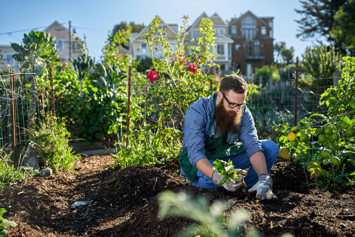 Stadt-Garten mit Blumen