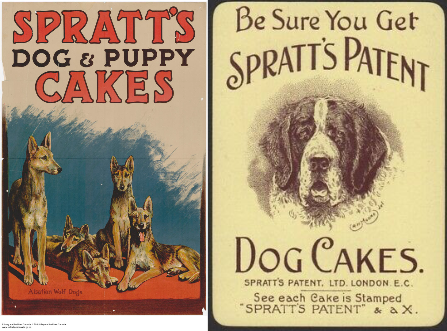 netflix raw dog food documentary