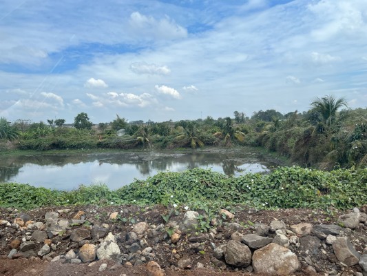 Photo 4 of Vườn Bưởi Suối Rao 2.7 ha