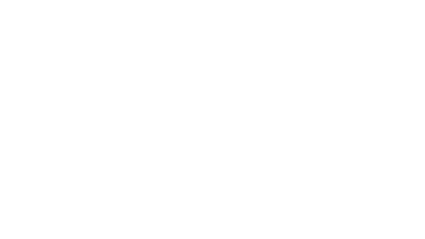American Magic Logo White - Denmark Team Official Partner