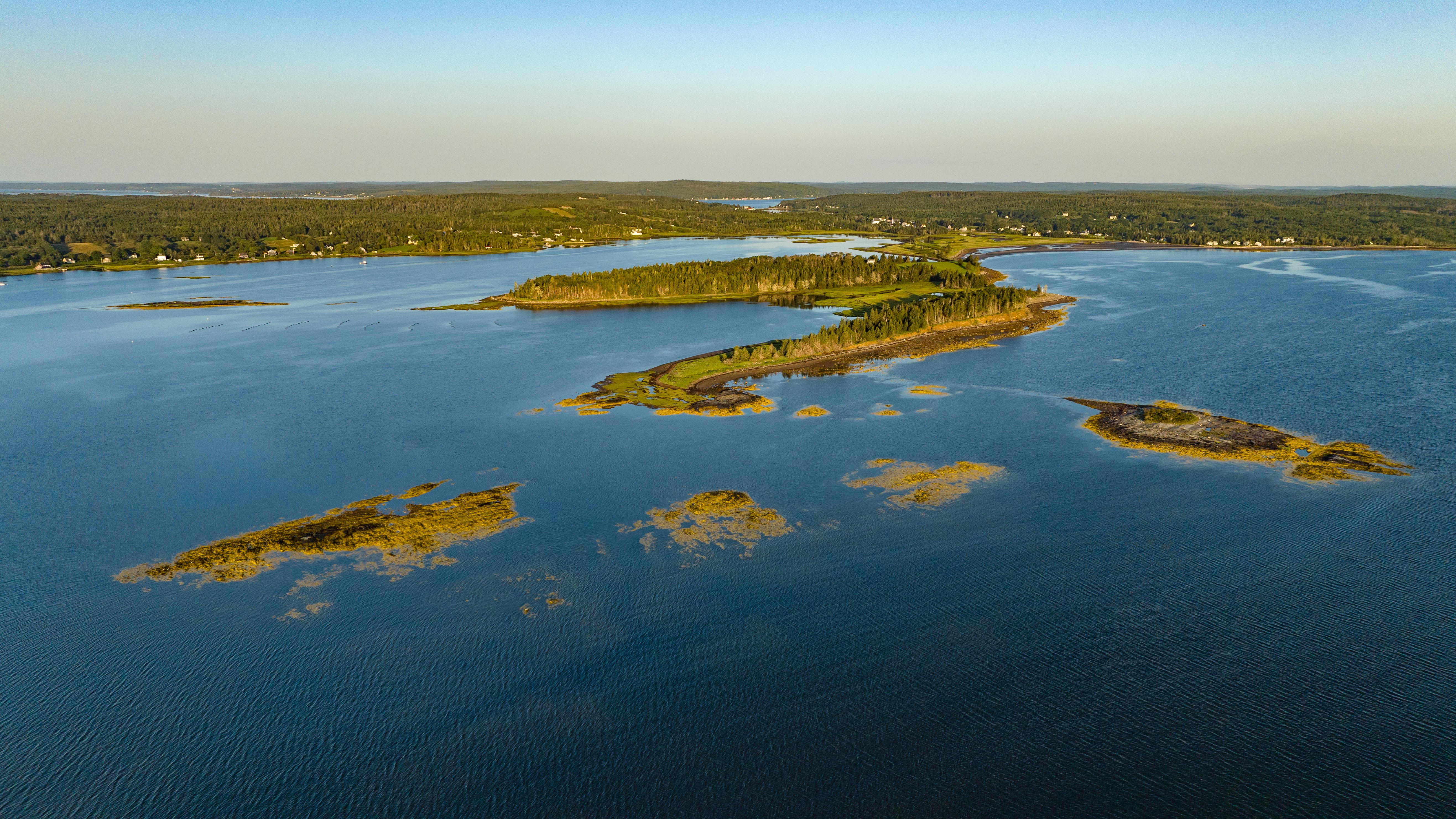 Season 4 // ROCKWOOL Denmark sustainability initiative // Eelgrass meadow research site Rose Bay Credit: NicWinkler