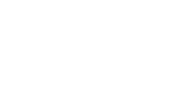 DP World Logo White - Global Tier 2