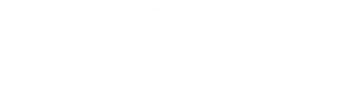 100 percent Logo White - Denmark SailGP Team Partner