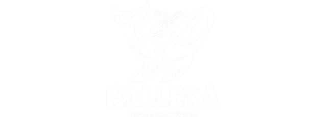 Ballena Logo White - Brazil SailGP Team Partner