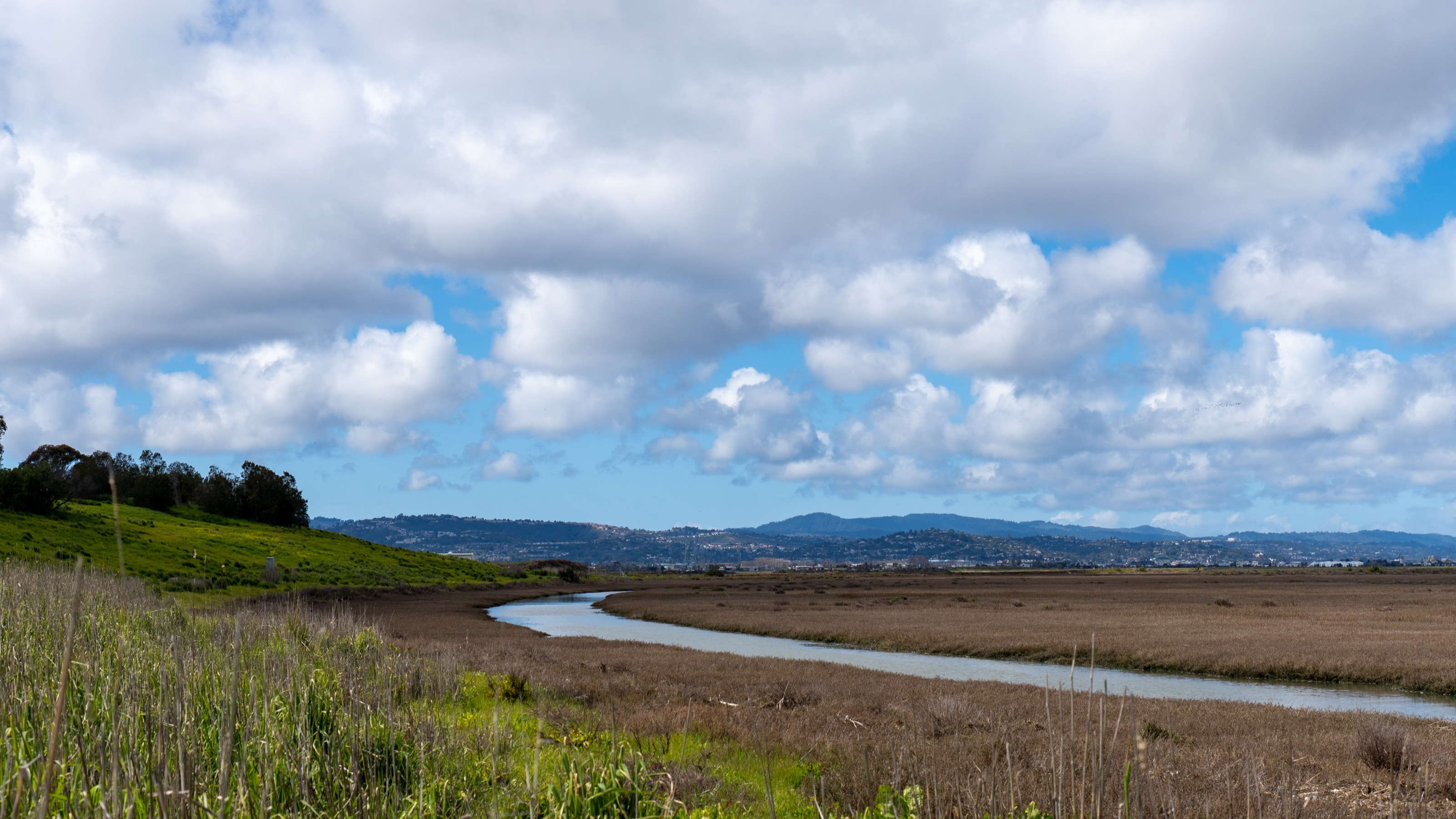 Season 3 // San Francisco Grand Final // Save the Bay Local Impact Project river bed