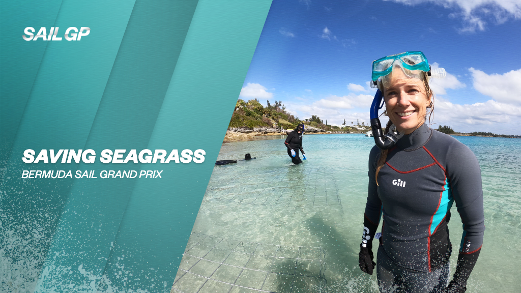 Seagrass Preservation in Bermuda SailGP