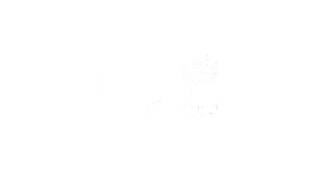 University of Cadiz Logo White (Cadiz)