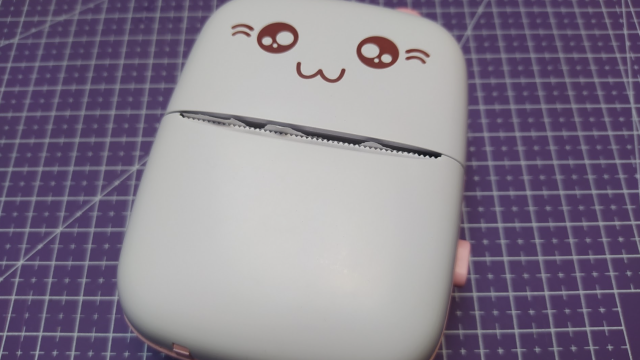 Bluetooth 'cat' thermal printer review
