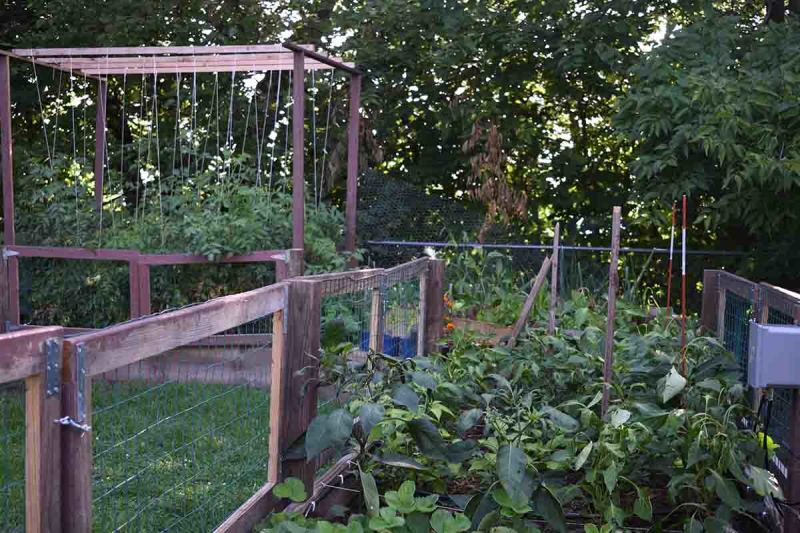 MudPi keeps the garden watered thanks to its Raspberry Pi moisture sensor