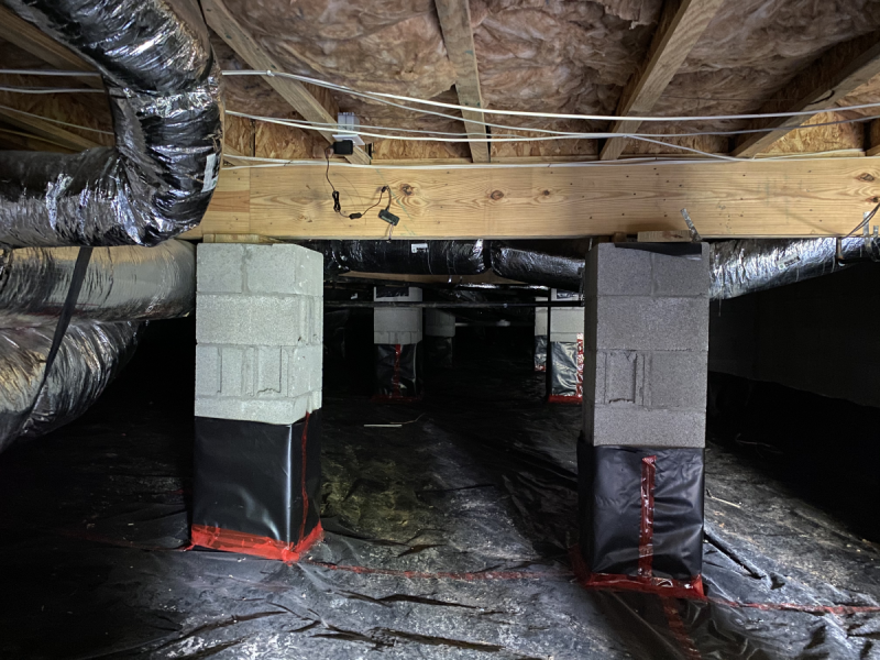 Crawl spaces promote the circulation of air and allow access to essential utilities, but they can be a magnet for insects, moisture, and mould