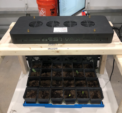 Automatic Seedling Nurturer