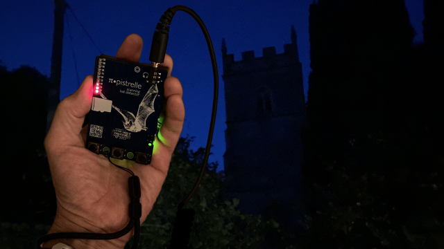 Pipistrelle Bat Detector