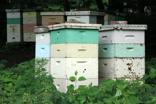 Beekeeping Server